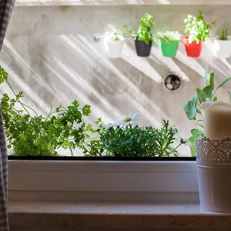 Zambarlin شقة Komiža